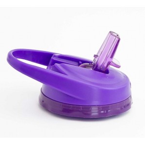 BBO LID IRISANA FILTERS AND COOLS 946 ML PURPLE