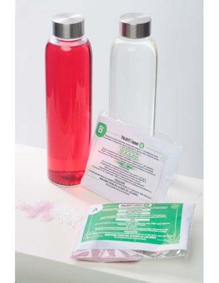Fertilizante en polvo hidropónico. Nutribase A+B. Altamente soluble.