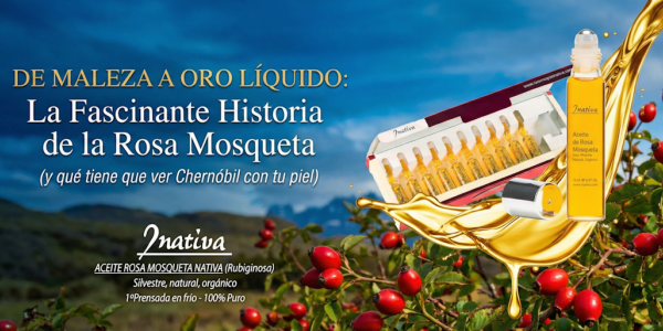 De Maleza a Oro Líquido: La Fascinante Historia de la Rosa Mosqueta